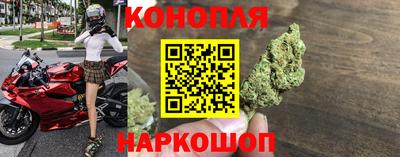 индика Апшеронск