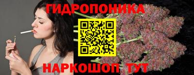jwh Аргун