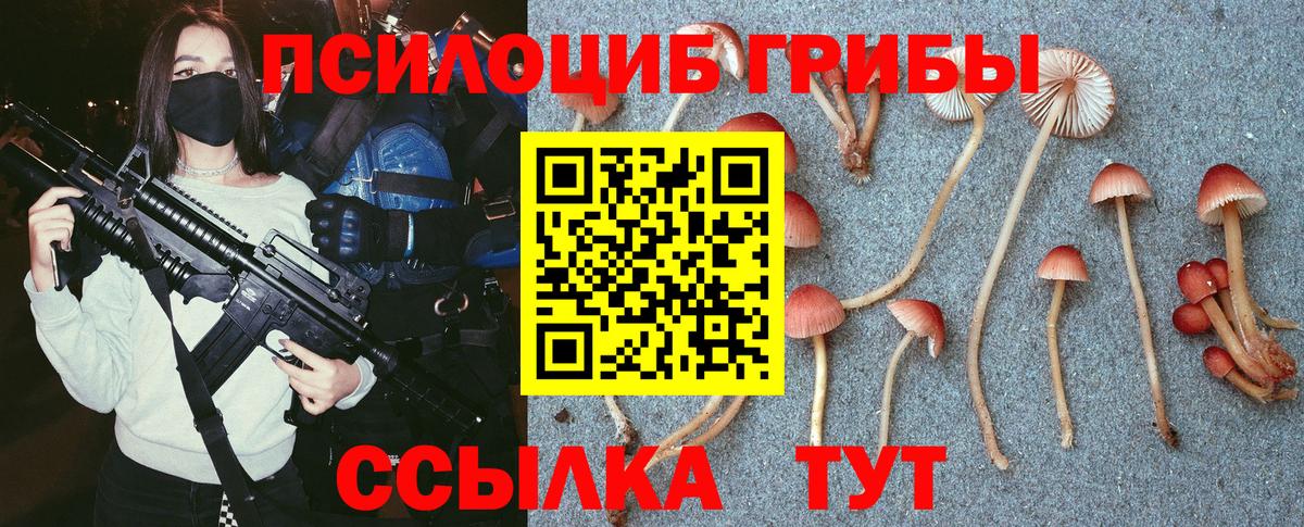 Галлюциногенные грибы Psilocybe Бугульма